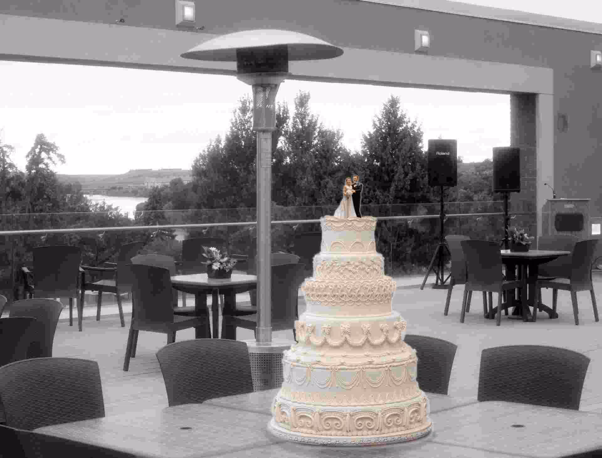Rental Space Wedding Cake