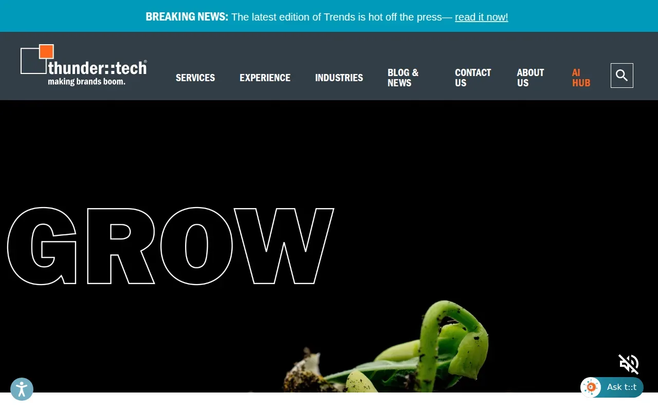 Screenshot of the thunder website