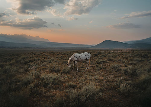 Financial Freedom: What It Means and How to Achieve It