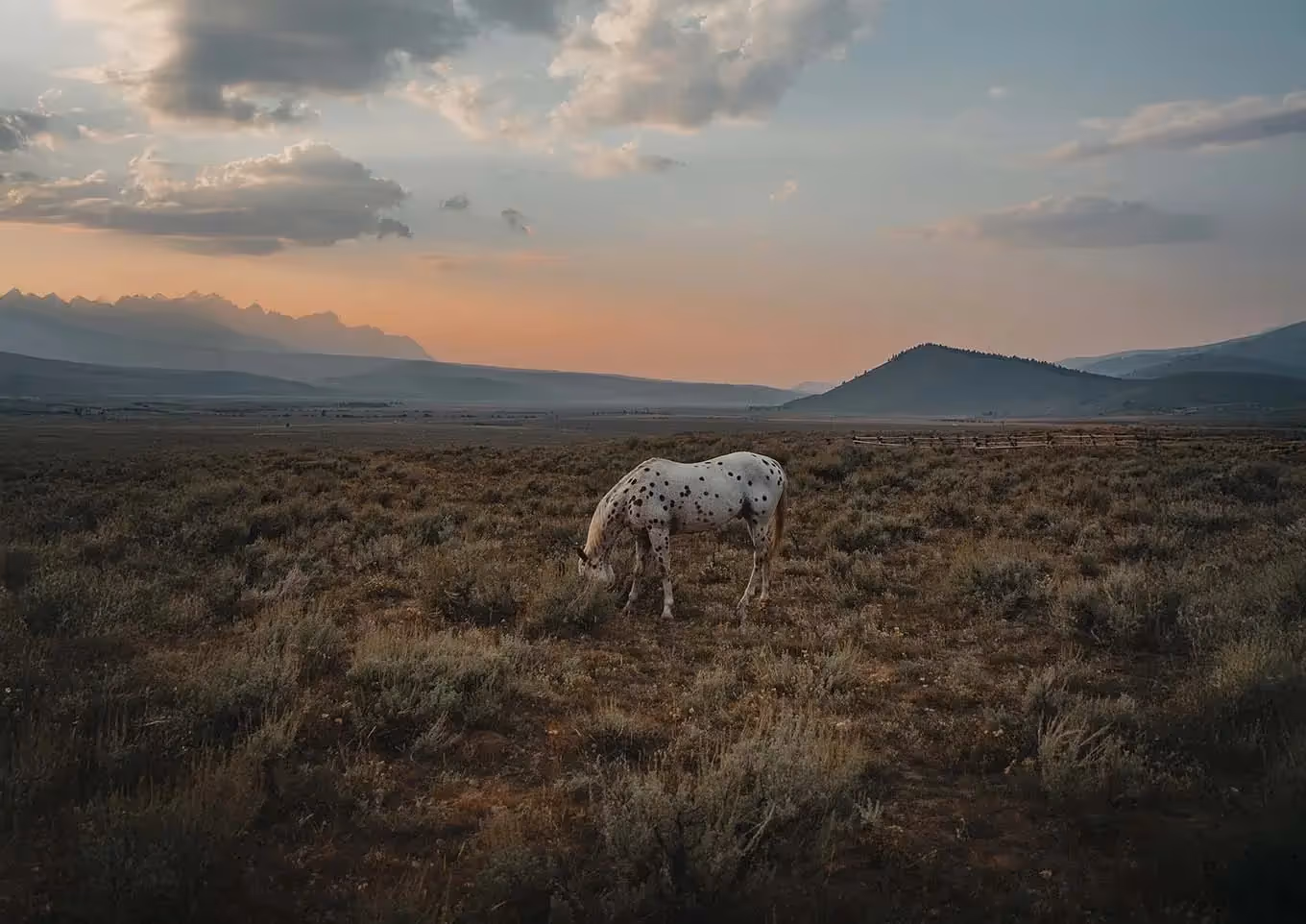 Financial Freedom: What It Means and How to Achieve It