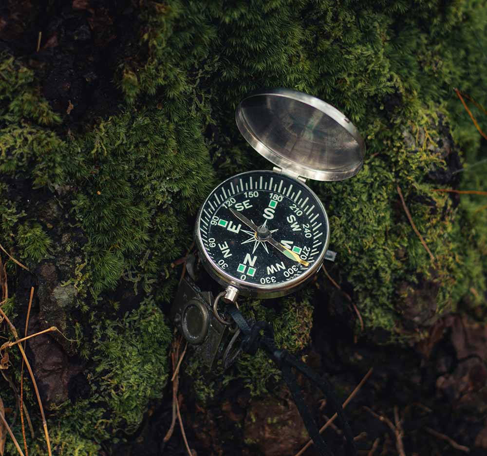 The Business Owner’s Tax Compass: Navigating the CRA Without Losing Your Mind