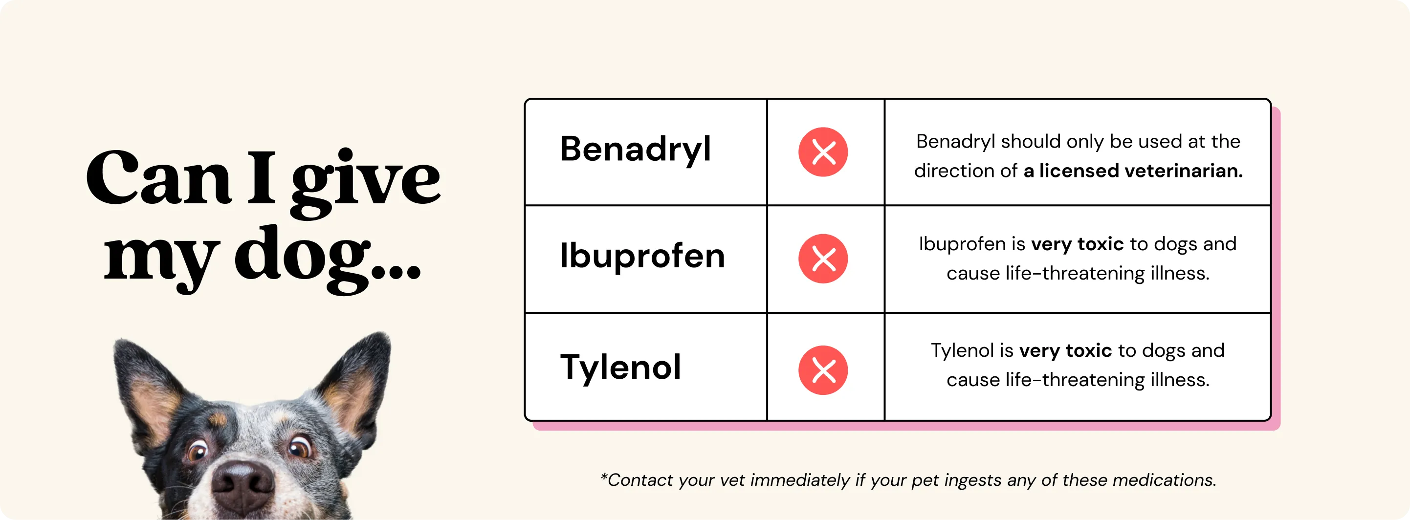 Can you give a dog tylenol, benadryl or ibuprofen