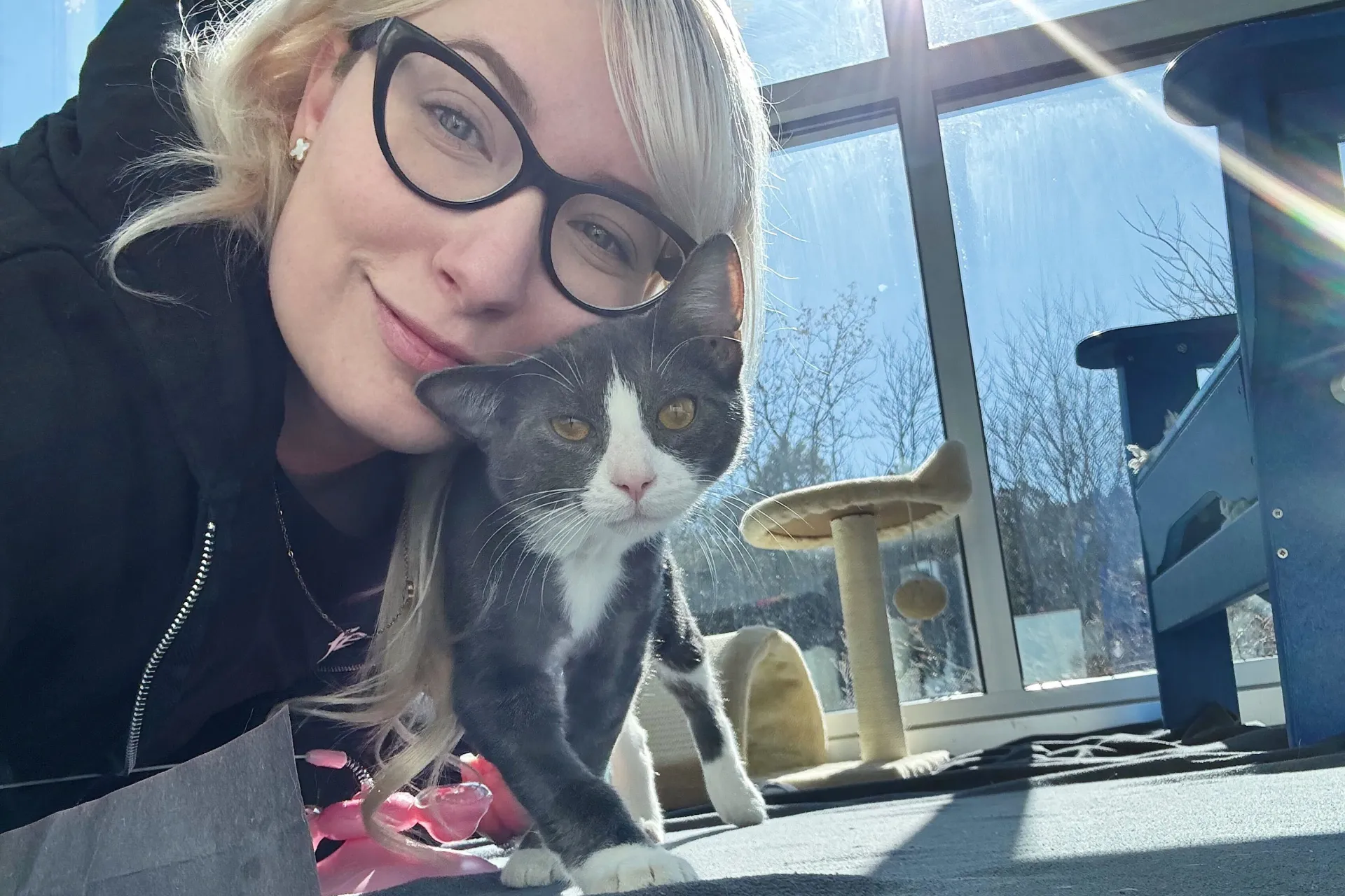 Woman in glasses hugging a gray cat