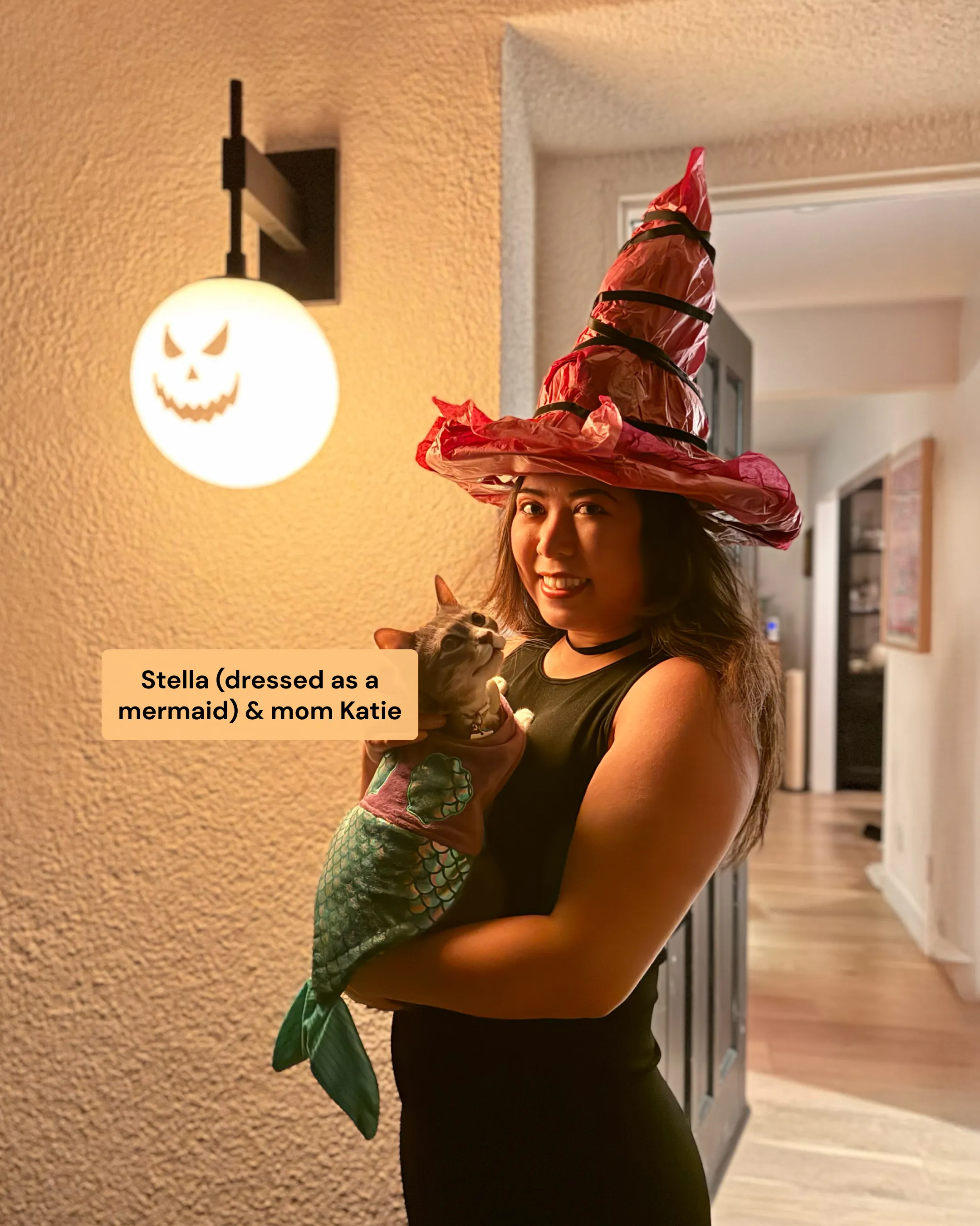 A cat dressed as a mermaid and a woman dressed as a witch for Halloween.