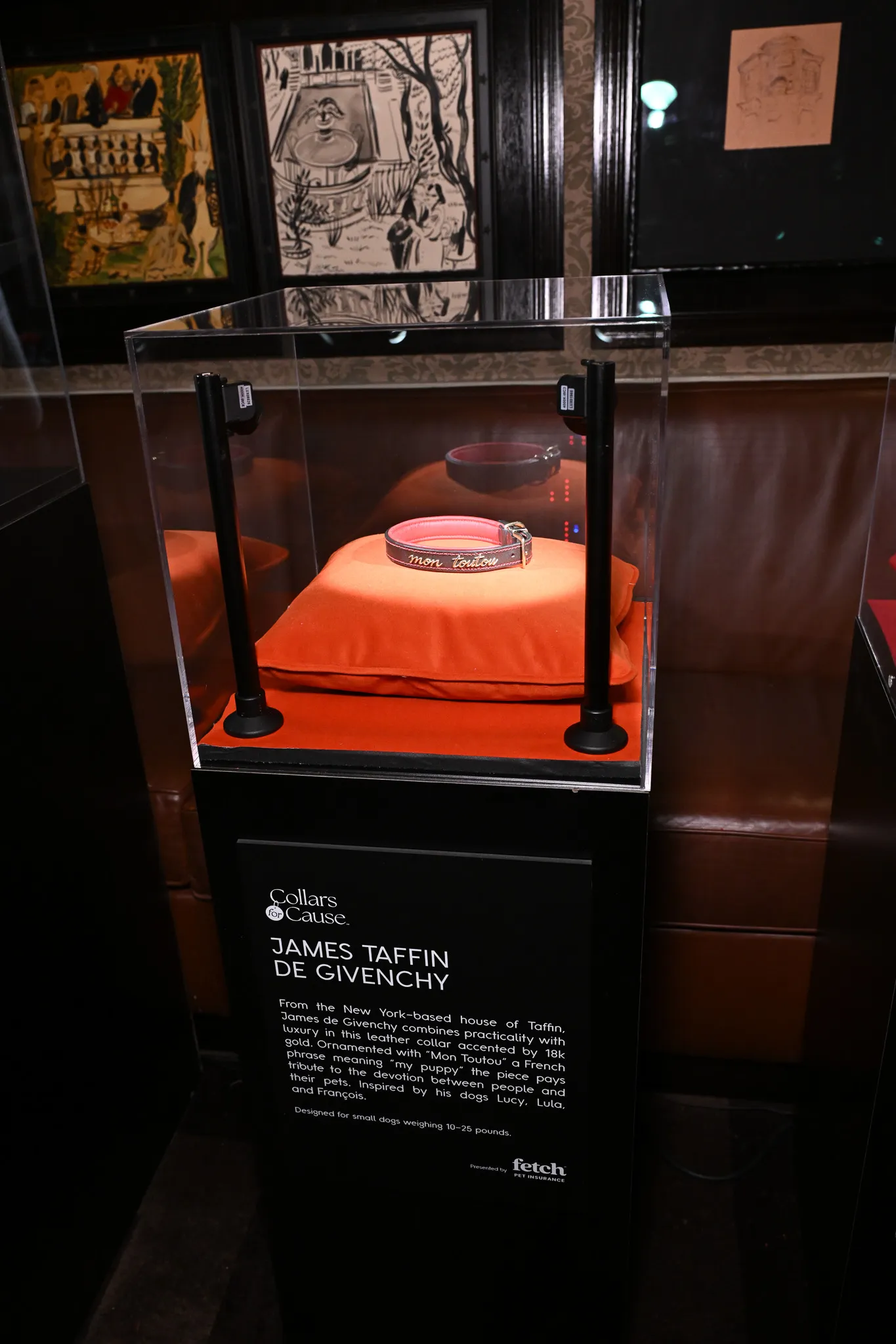 A view of James Taffin de Givenchy's collar on display for Collars for Cause™ during the 2025 Fetch Pet Gala