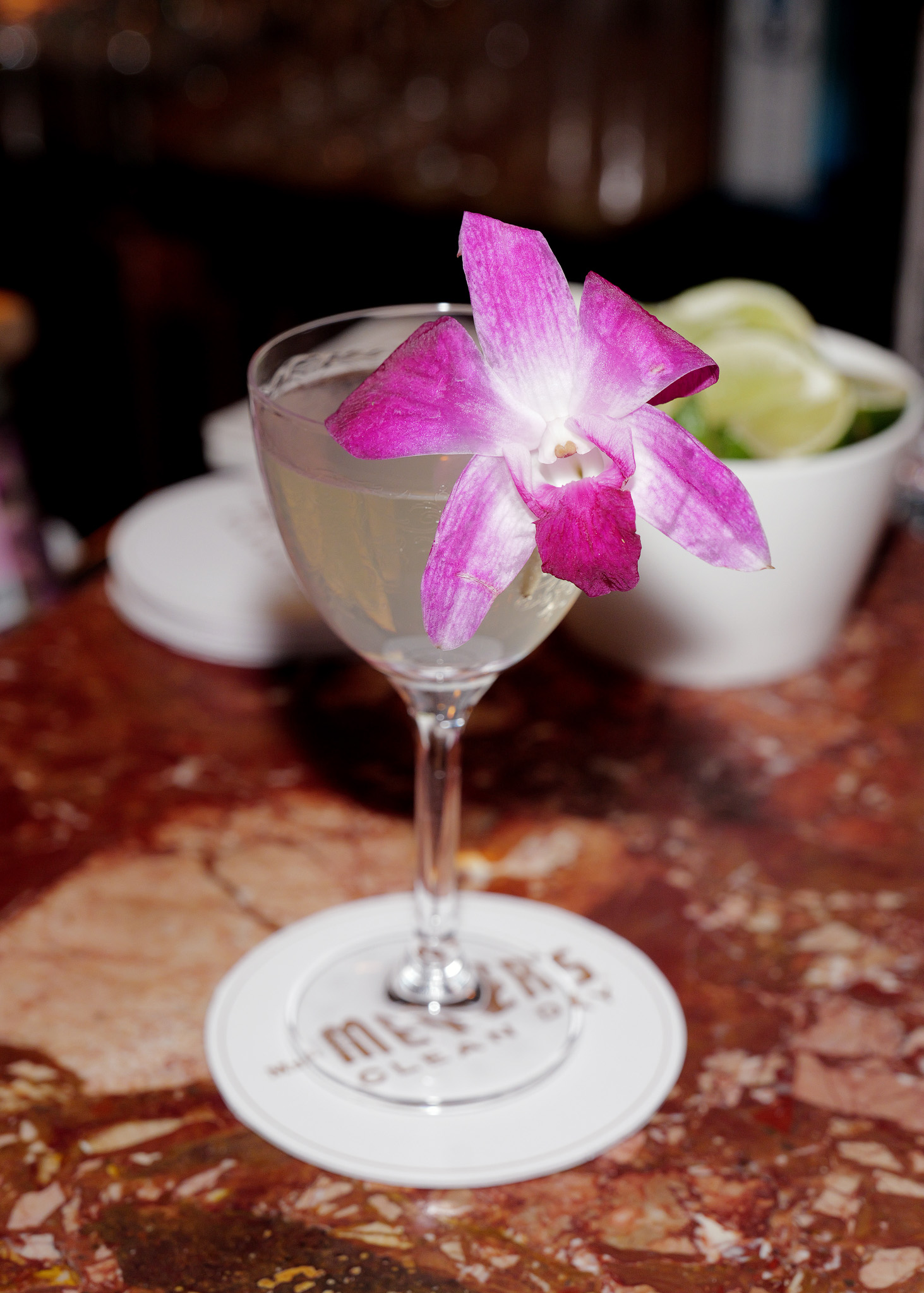 A view of the atmosphere during the 2025 Fetch Pet Gala.