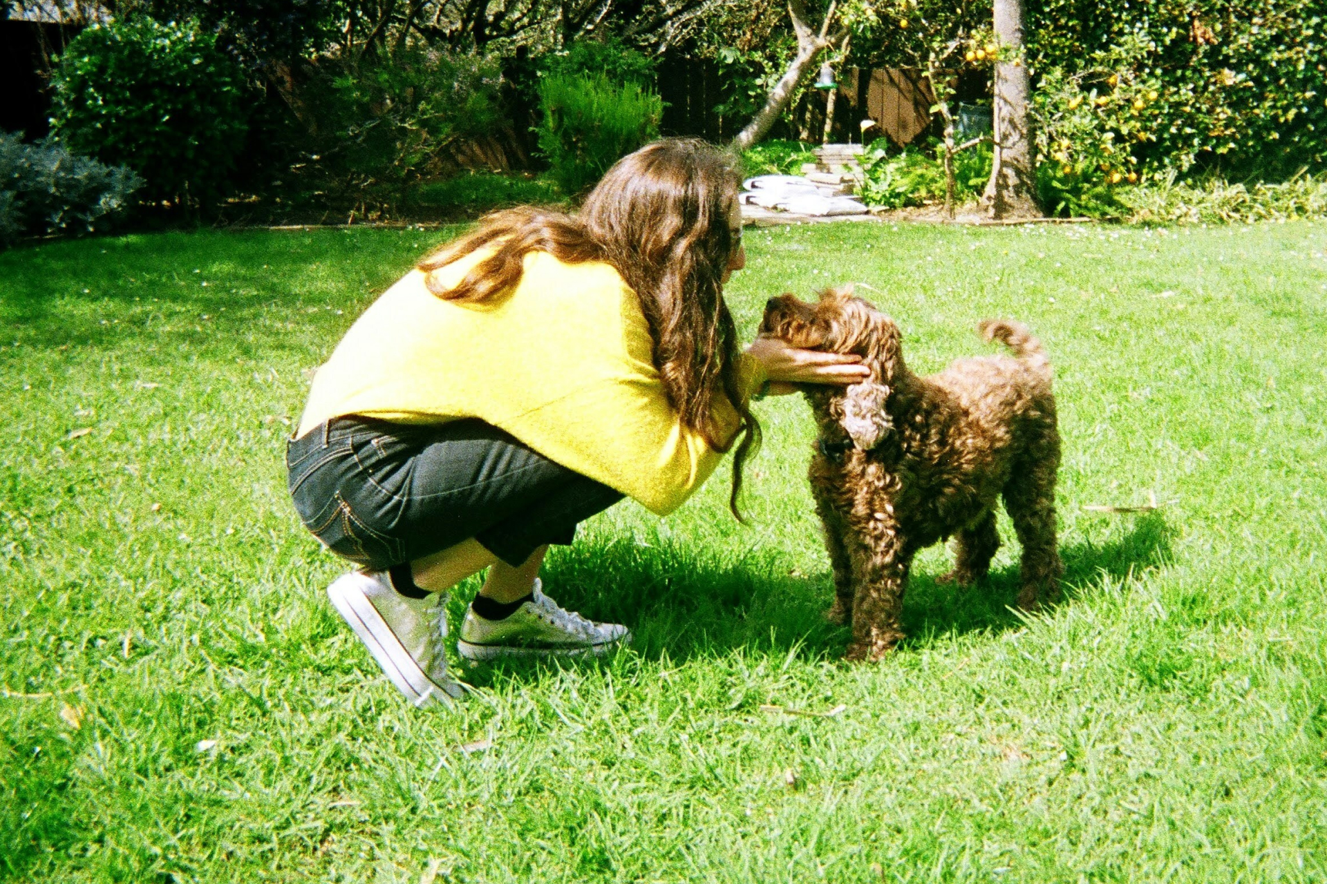 A woman in a yellow sweater petting a brown curly dog on the grass