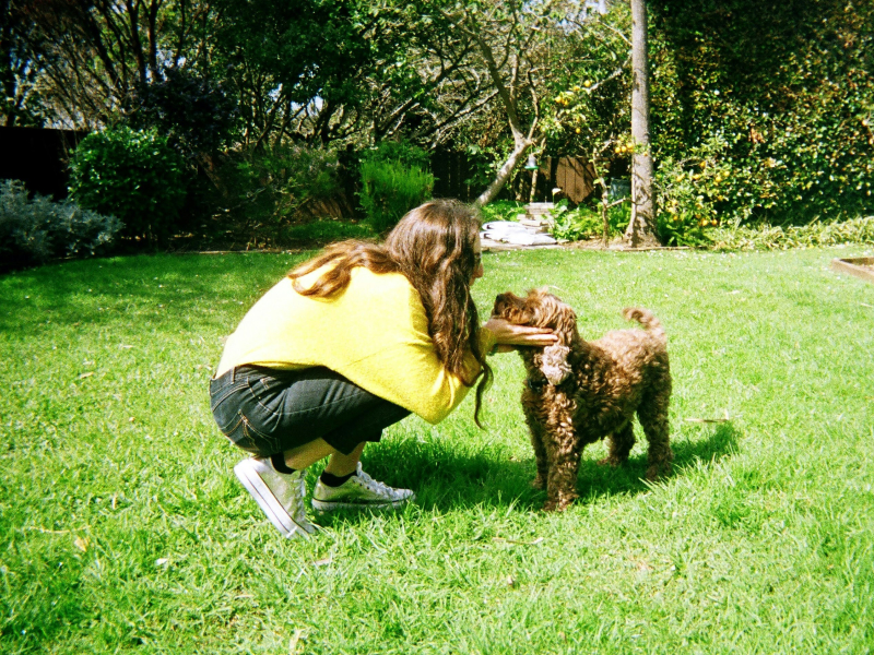 A woman in a yellow sweater petting a brown curly dog on the grass