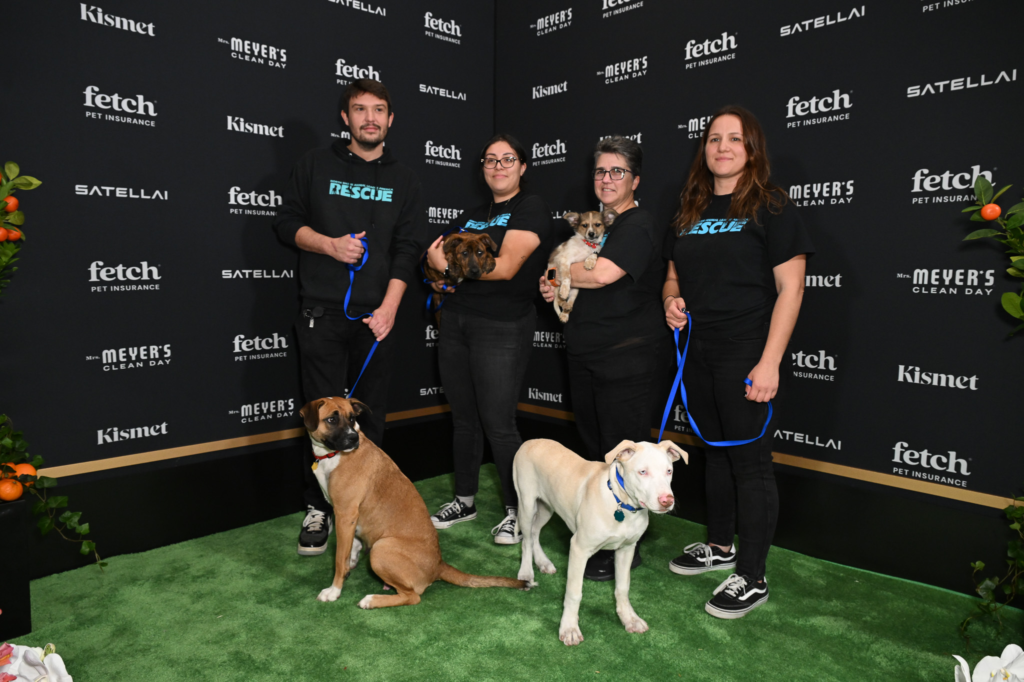Rescue Pups from North Shore Animal League America at the 2025 Fetch Pet Gala.
