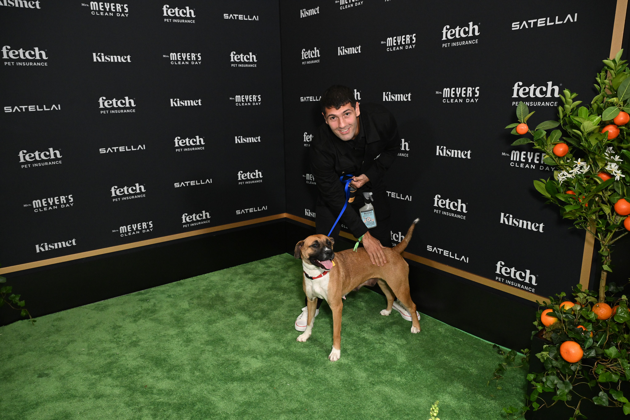 Rescue Pup from North Shore Animal League America walks the Green Carpet at the 2025 Fetch Pet Gala.