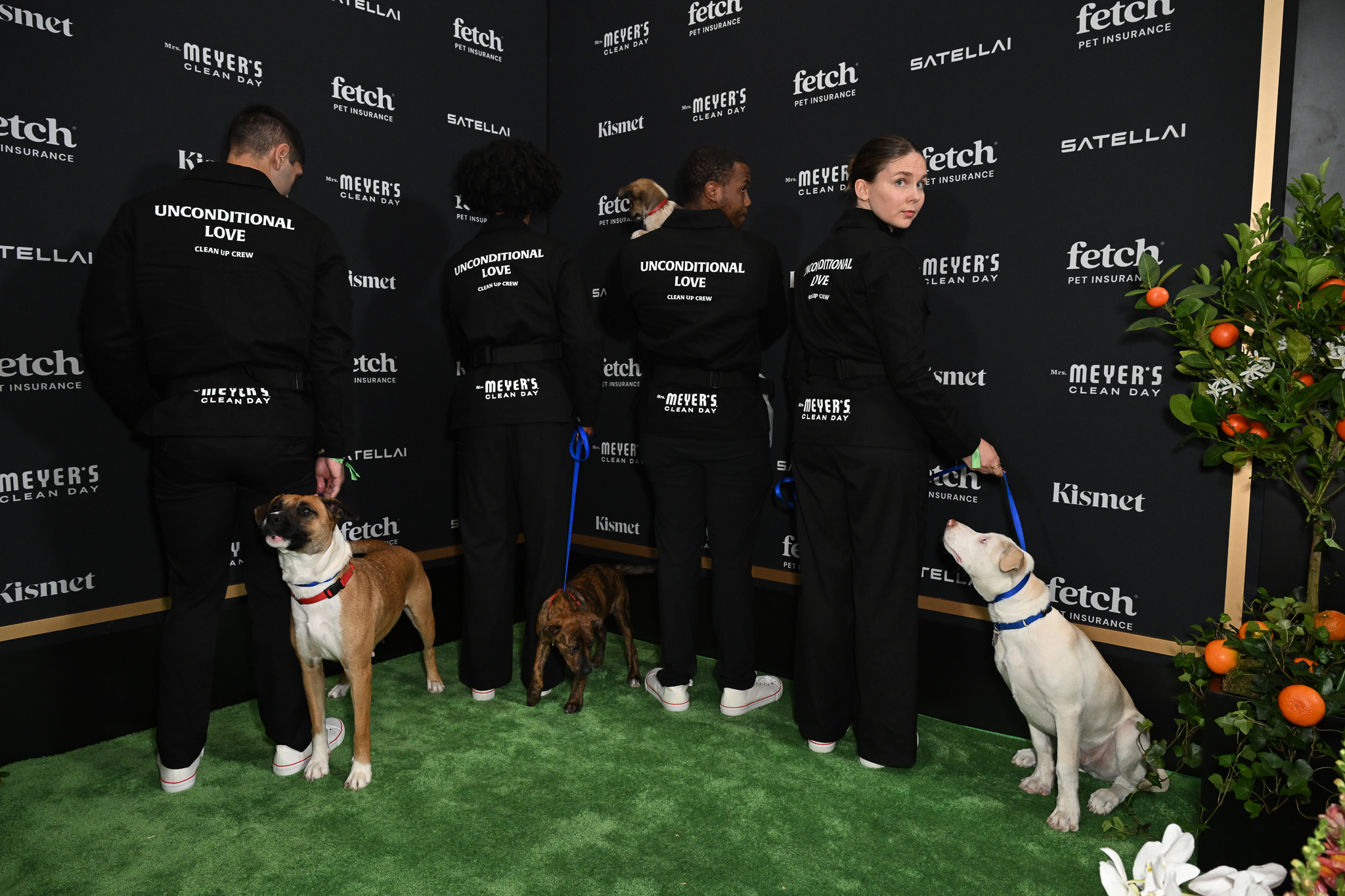 Mrs. Meyers Clean Day staff walks rescue pups from North Shore Animal League America on the Green Carpet at the 2025 Fetch Pet Gala.