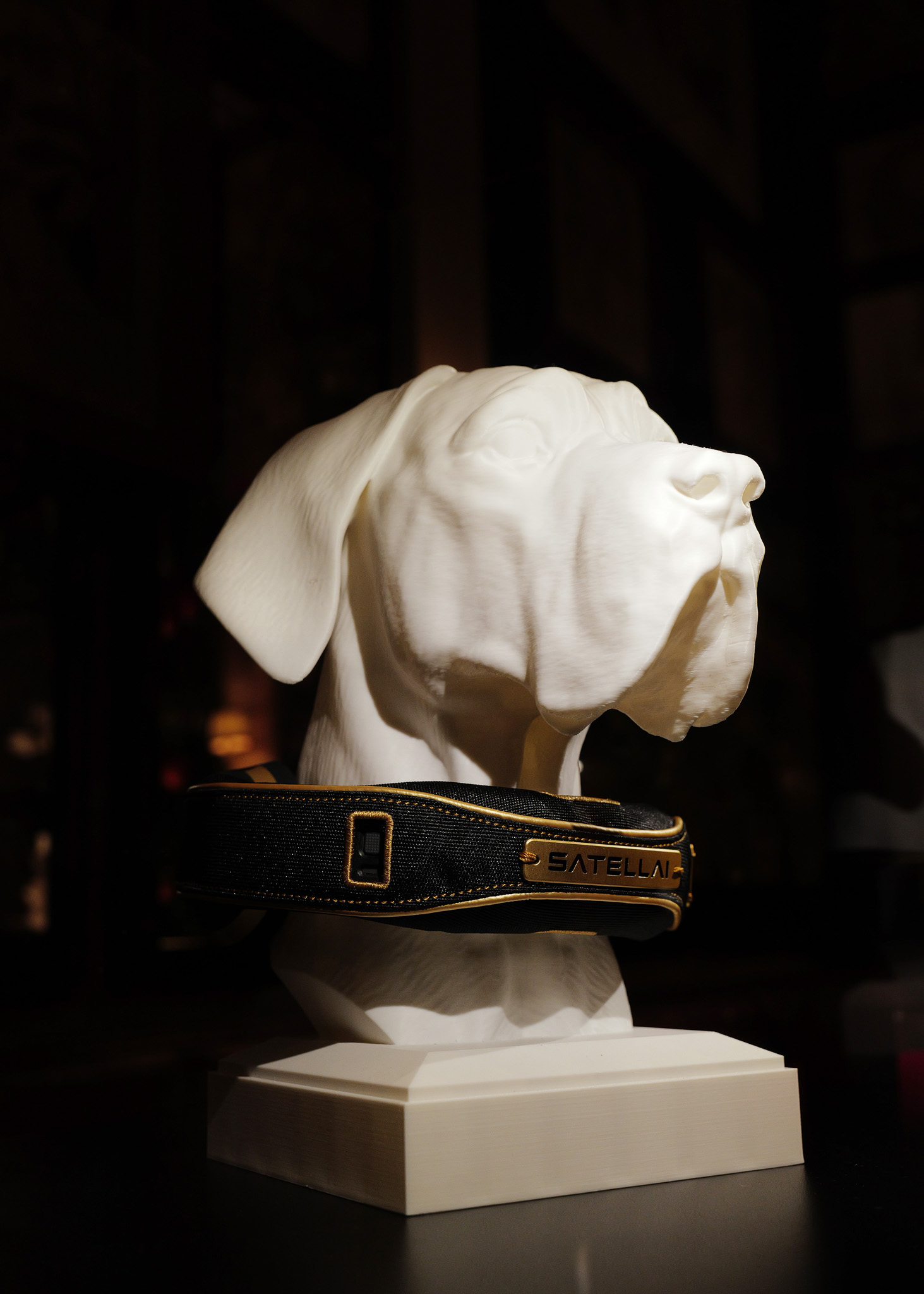 SATELLAI Collar on display at the 2025 Fetch Pet Gala.