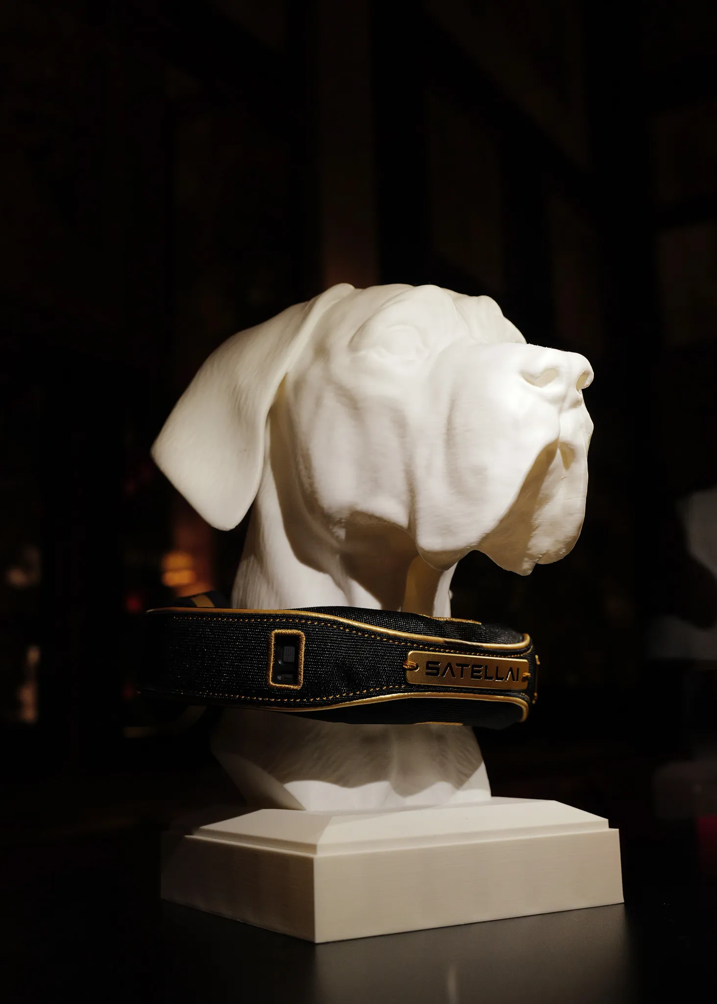 SATELLAI Collar on display at the 2025 Fetch Pet Gala.