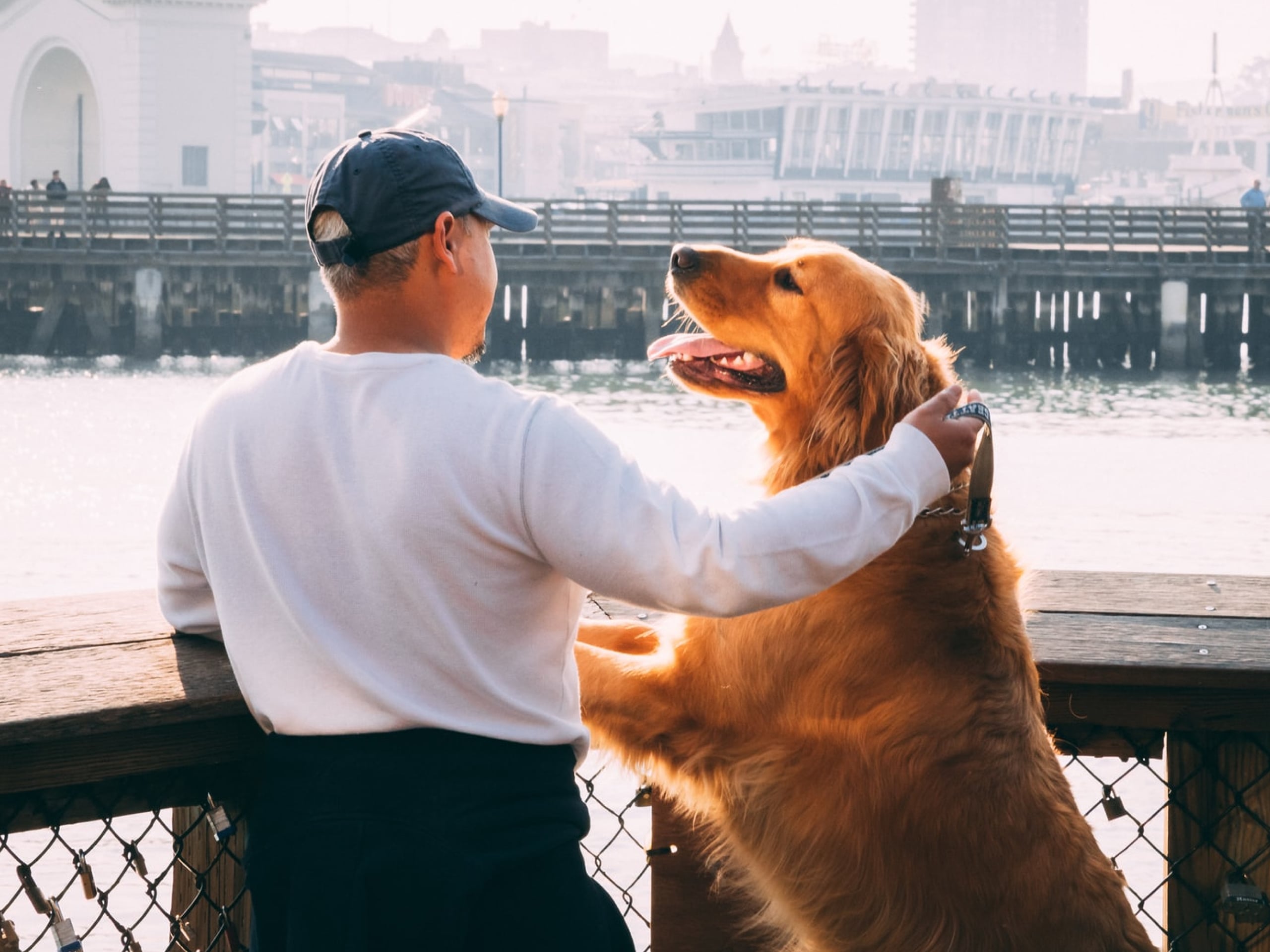 Photo of the back of a man and his golden retriever dog looking at a pier