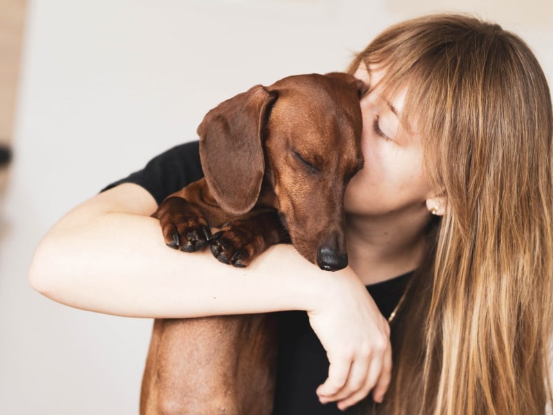 A pet parent holding and kissing her sad dog