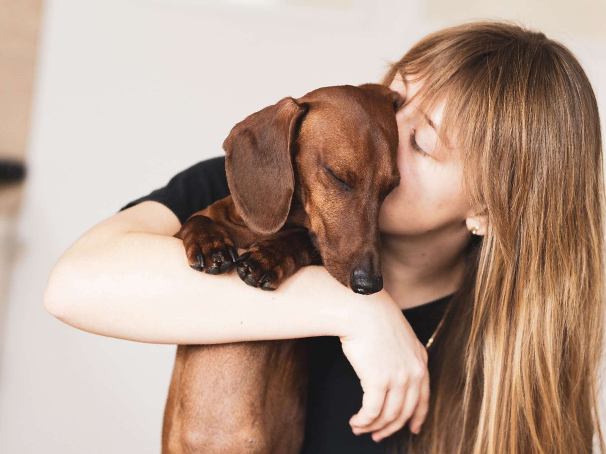 A pet parent holding and kissing her sad dog