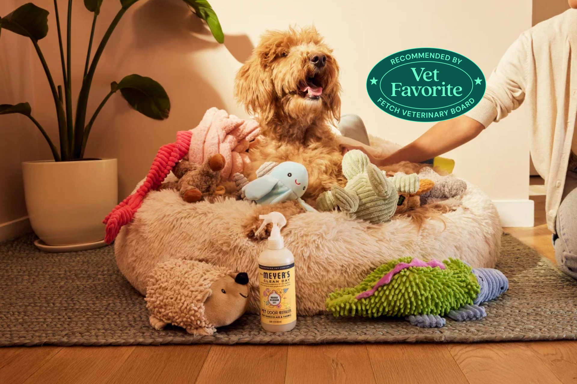 A brown dog sitting on a fluffy bed with lots of dog toys