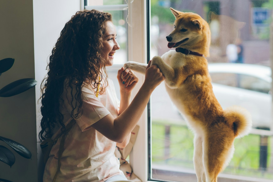 A woman sitting on a window sill playing with a dog