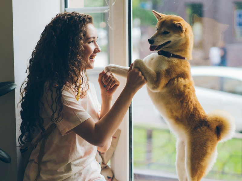 A woman sitting on a window sill playing with a dog