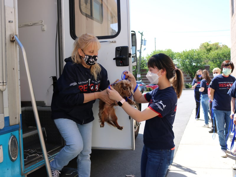 A photo of two volunteers passing a dog between them