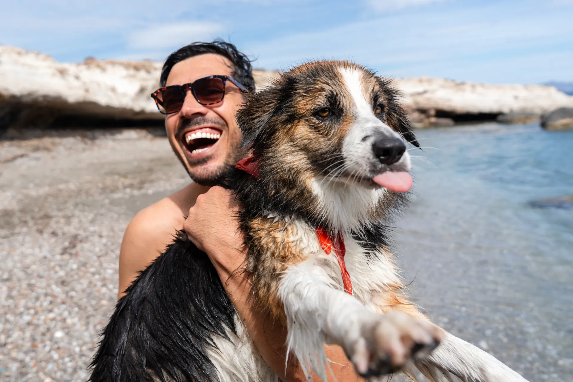 A photo of two long haired dachshunds who are running on a beach