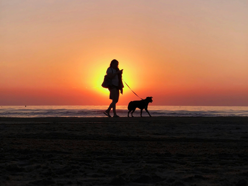 Woman and dog walking on a beach at sunset.