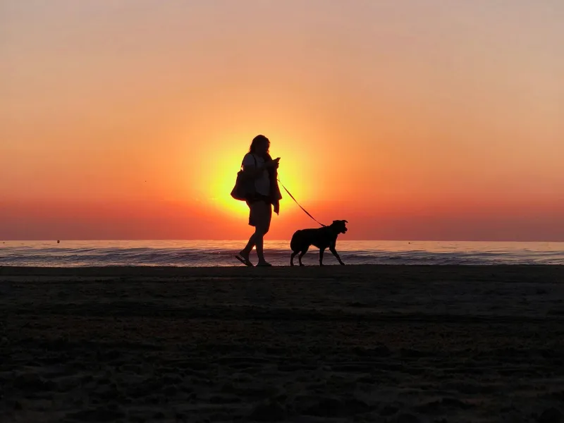 Woman and dog walking on a beach at sunset.