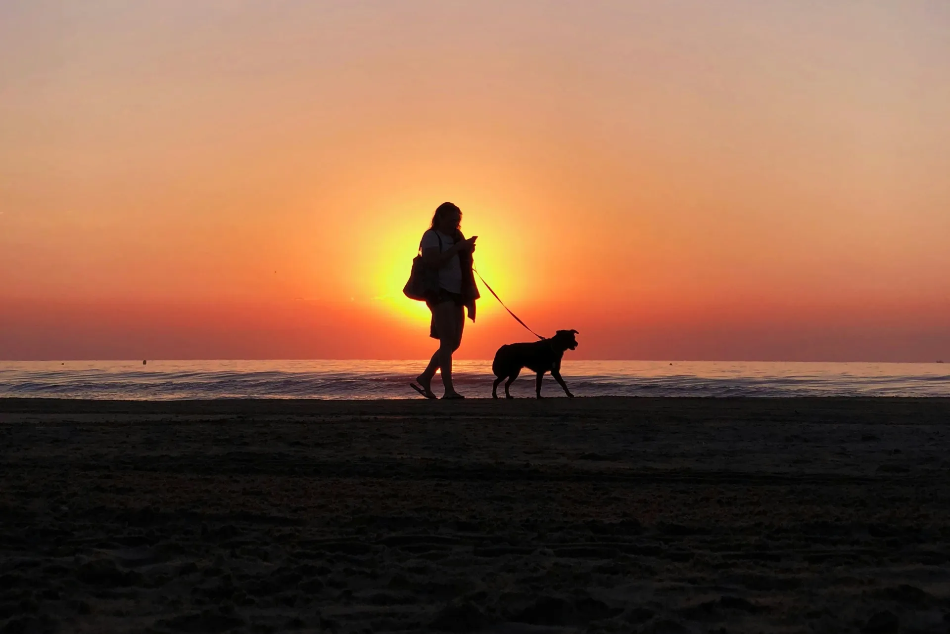 Woman and dog walking on a beach at sunset.