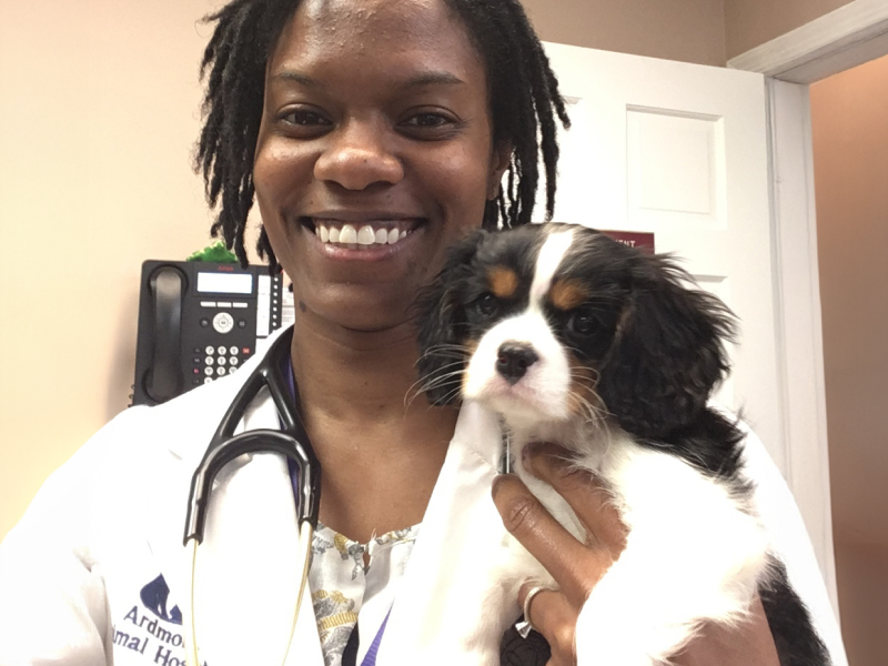 Veterinarian Dr. Aliya McCullough wearing a stethoscope and holding a Cavalier King Charles