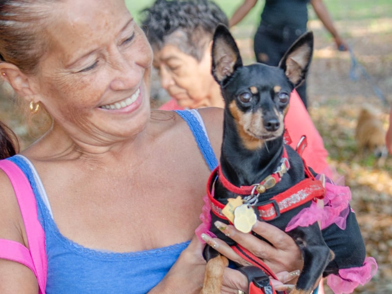 A pet parent holding a black Chihuahua in The Dig’s article about Humane Society of Tampa Bay’s free shot clinic