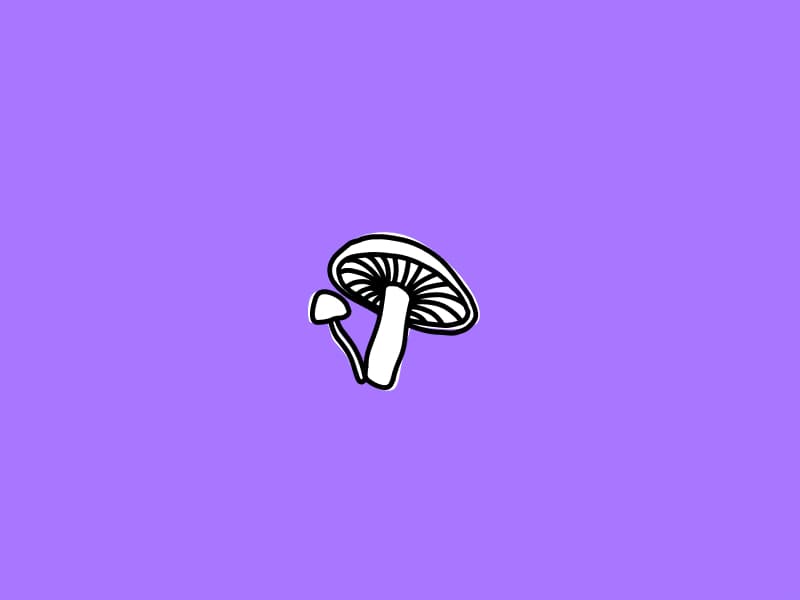 Illustrations of mushrooms on a purple colored background