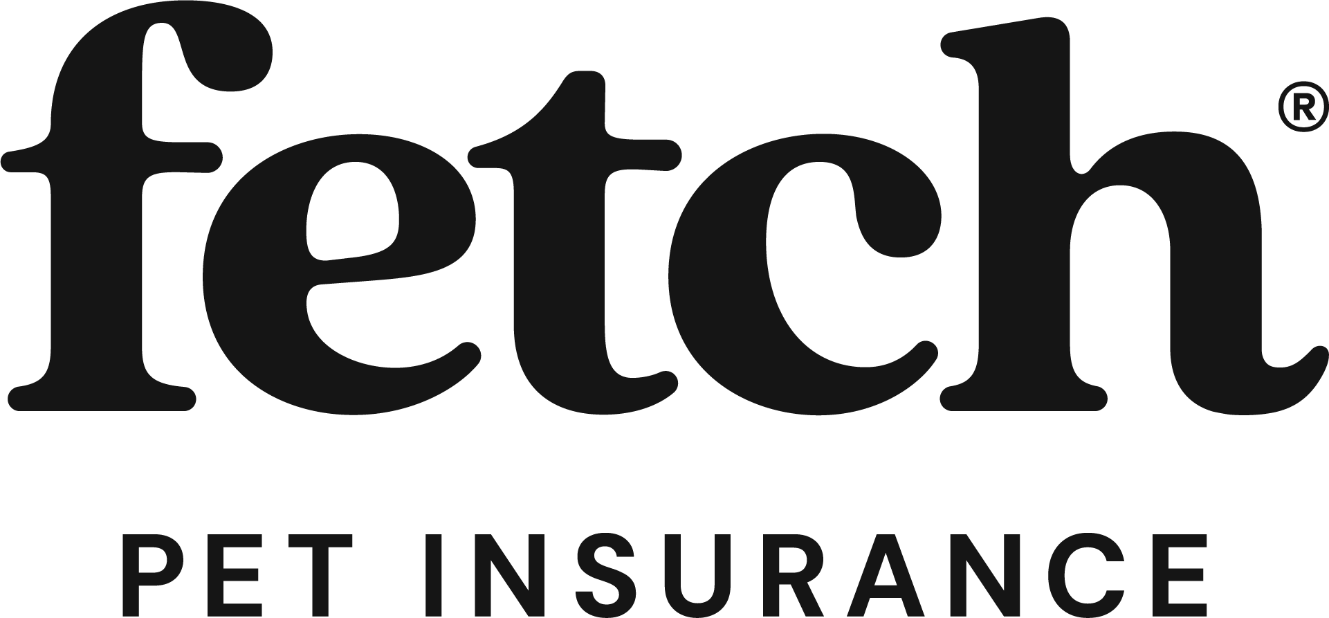 the company name appears in black text forming the logo. File name: Fetch_logo.