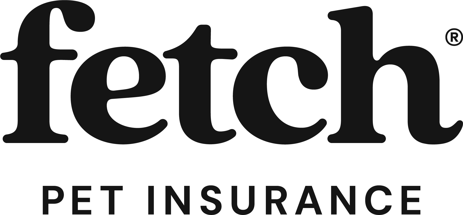 Black Fetch Pet logo with stylized lowercase lettering