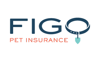 the company name appears in black and orange text forming the logo. The O in figo is shaped and designed as a dog collar.