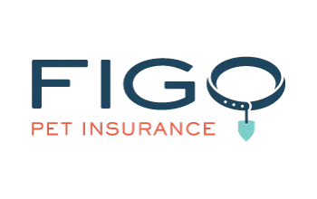 the company name appears in black and orange text forming the logo. The O in figo is shaped and designed as a dog collar.