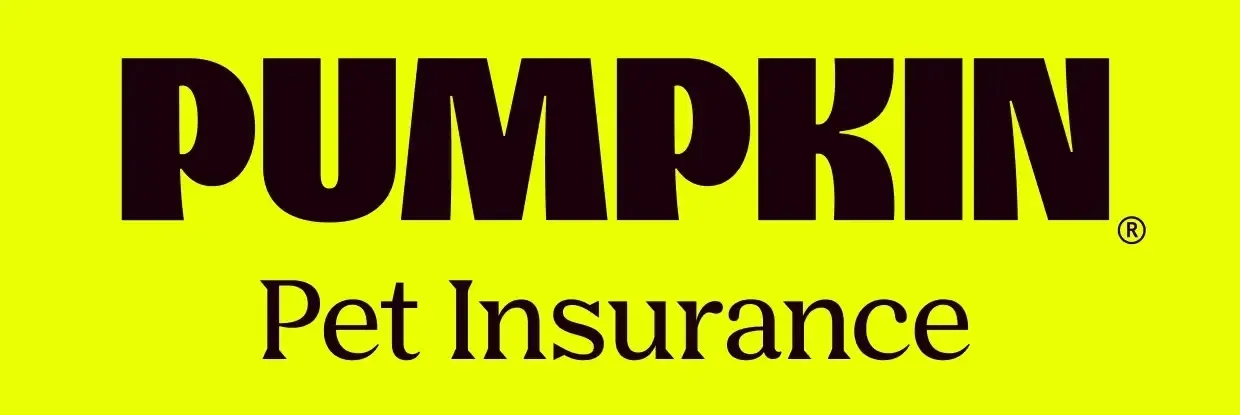 Pumpkin Pet Insurance logo on bright yellow background 
