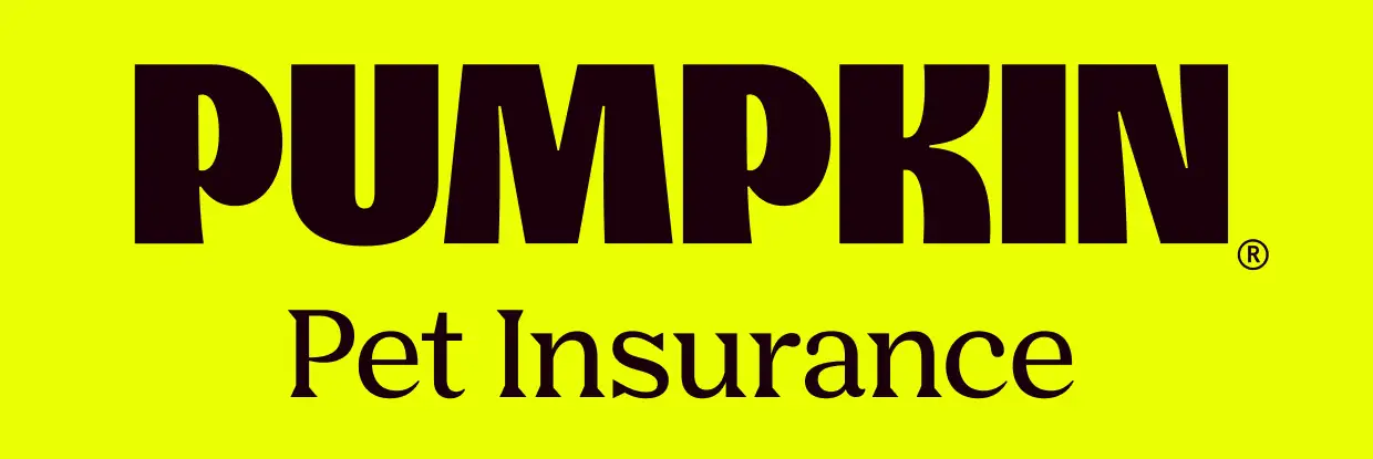 Pumpkin Pet Insurance logo on bright yellow background