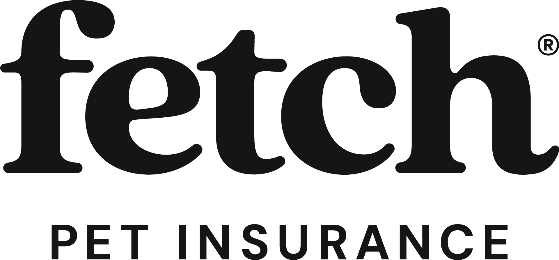 Black Fetch Pet logo with stylized lowercase lettering