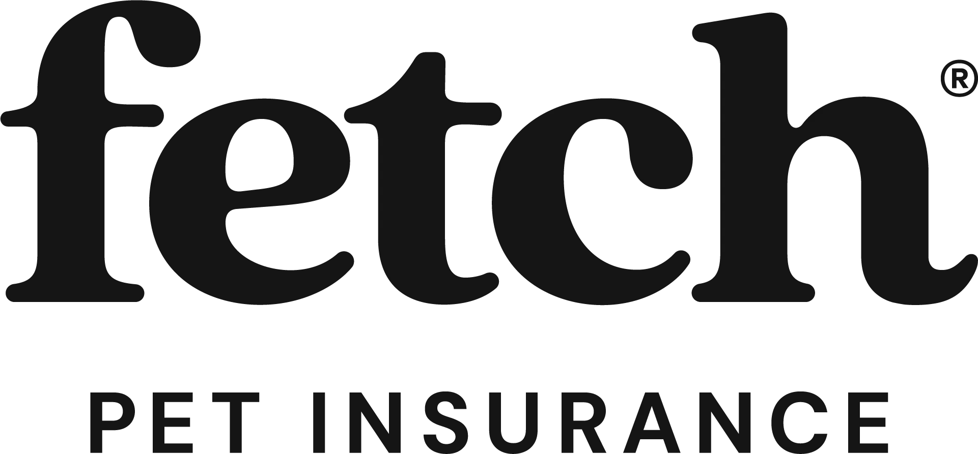 Black Fetch Pet logo with stylized lowercase lettering