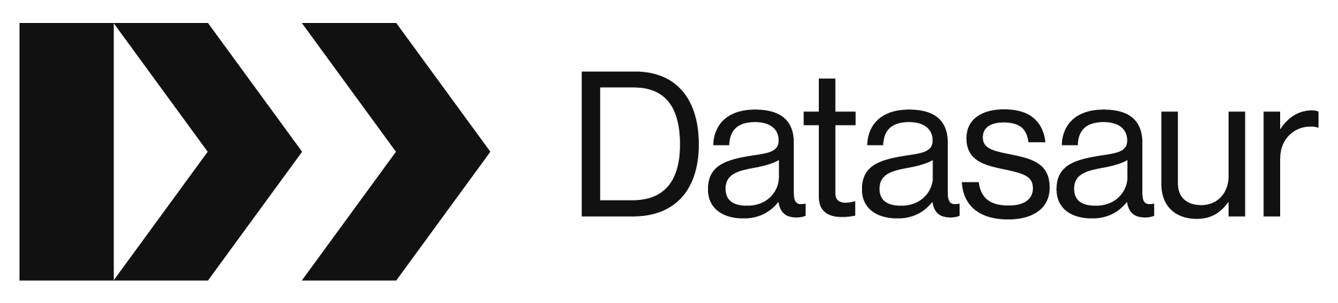 datasaur logo