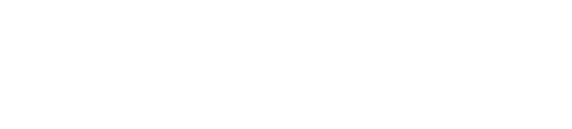 Datasaur Logo
