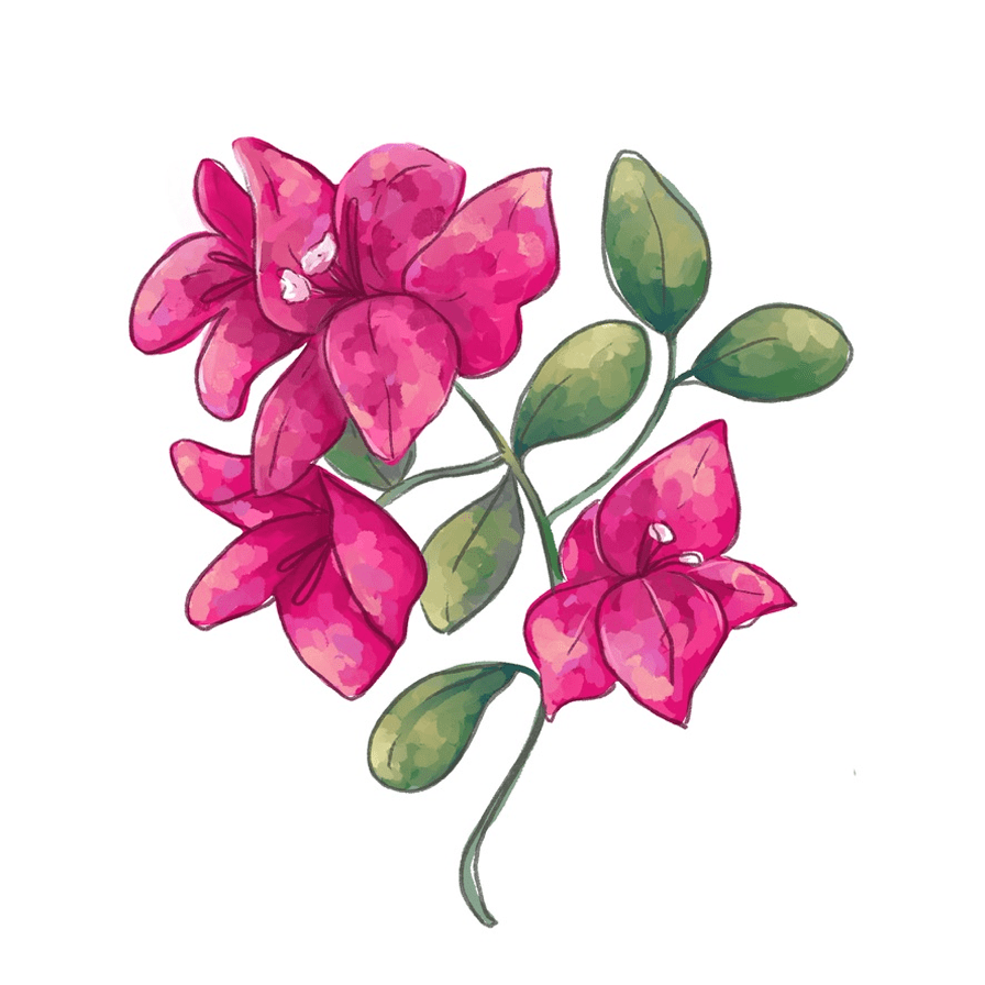 Example of illustration of the booklet