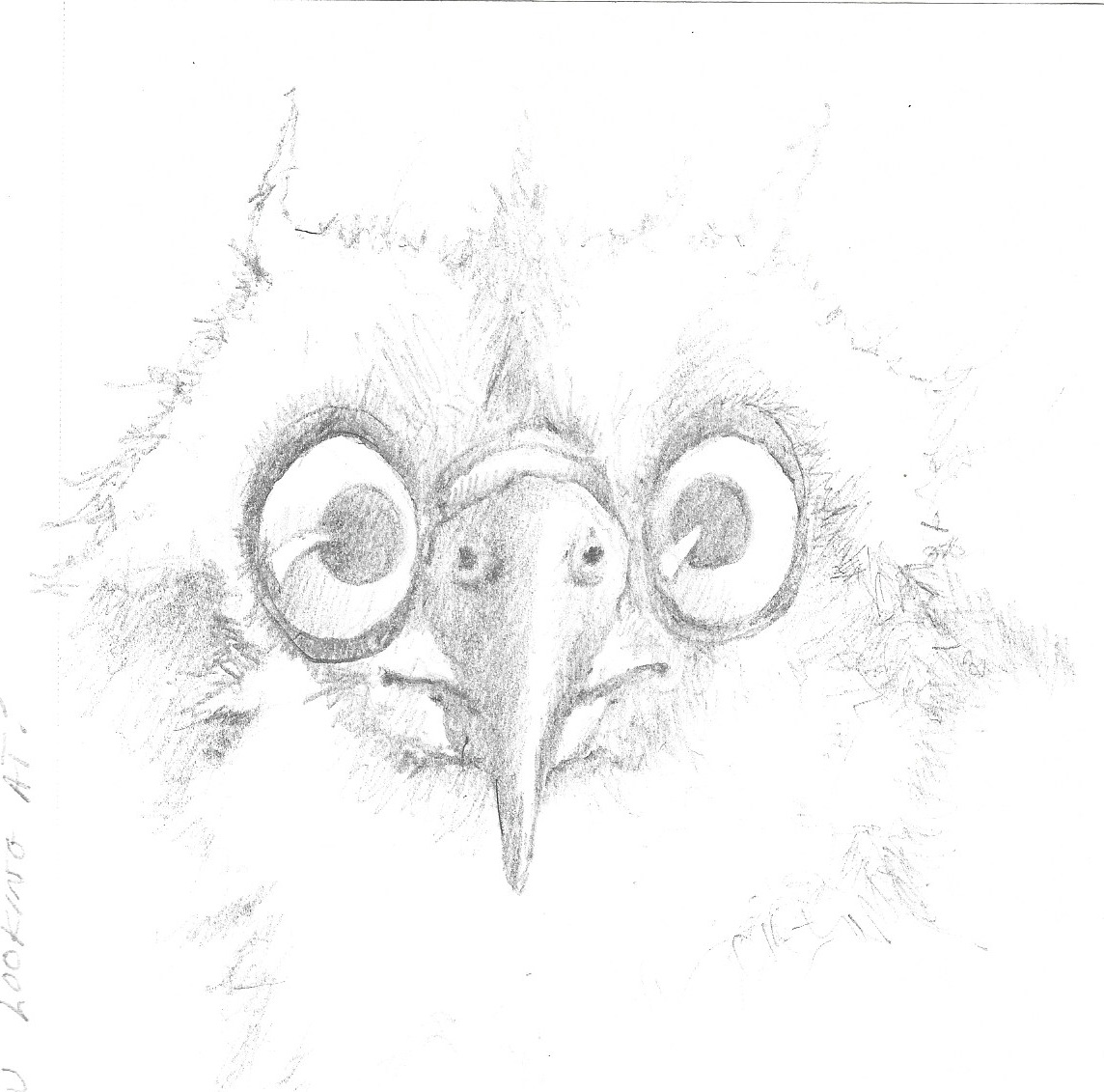 What Are You Looking At?