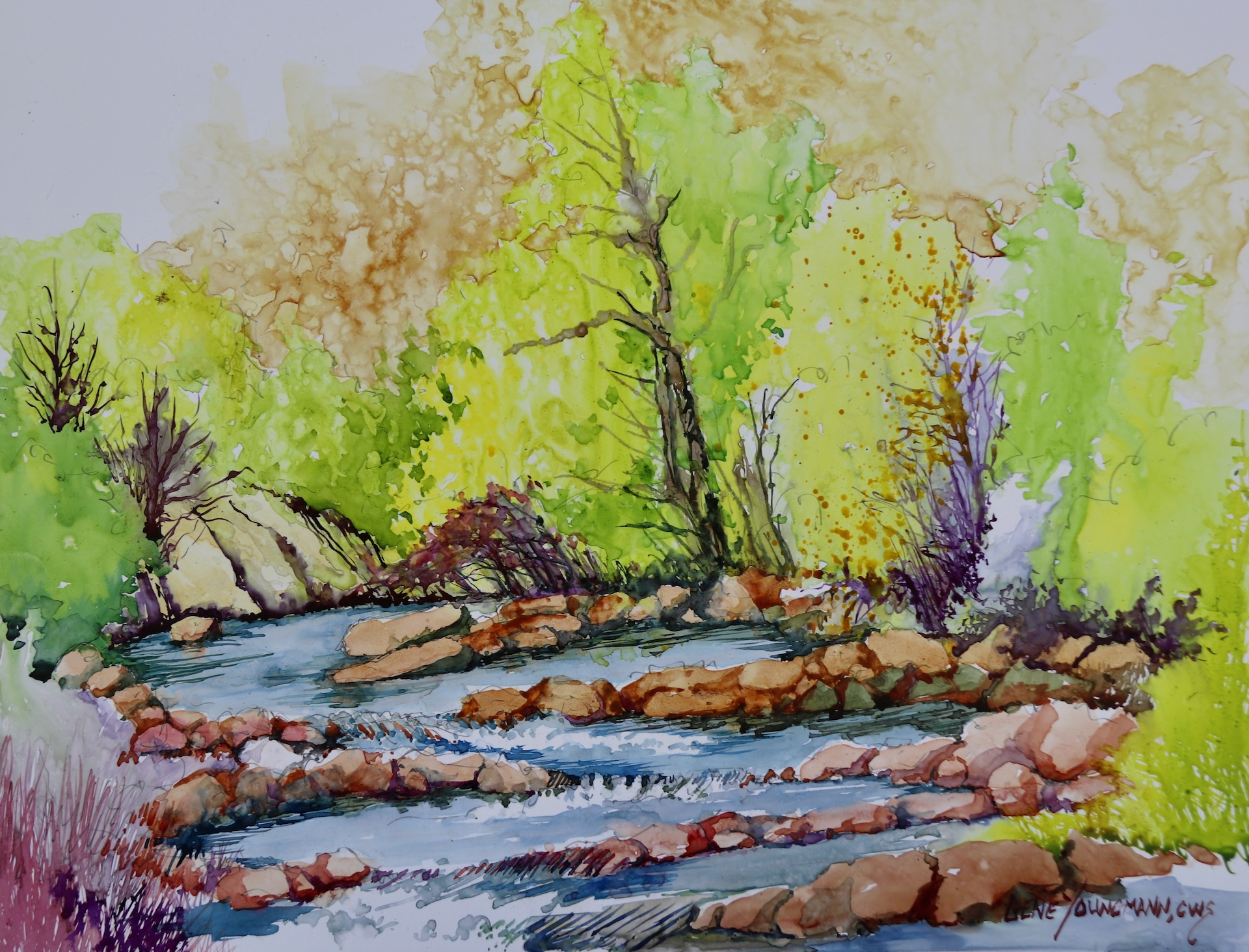Spring on Clear Creek