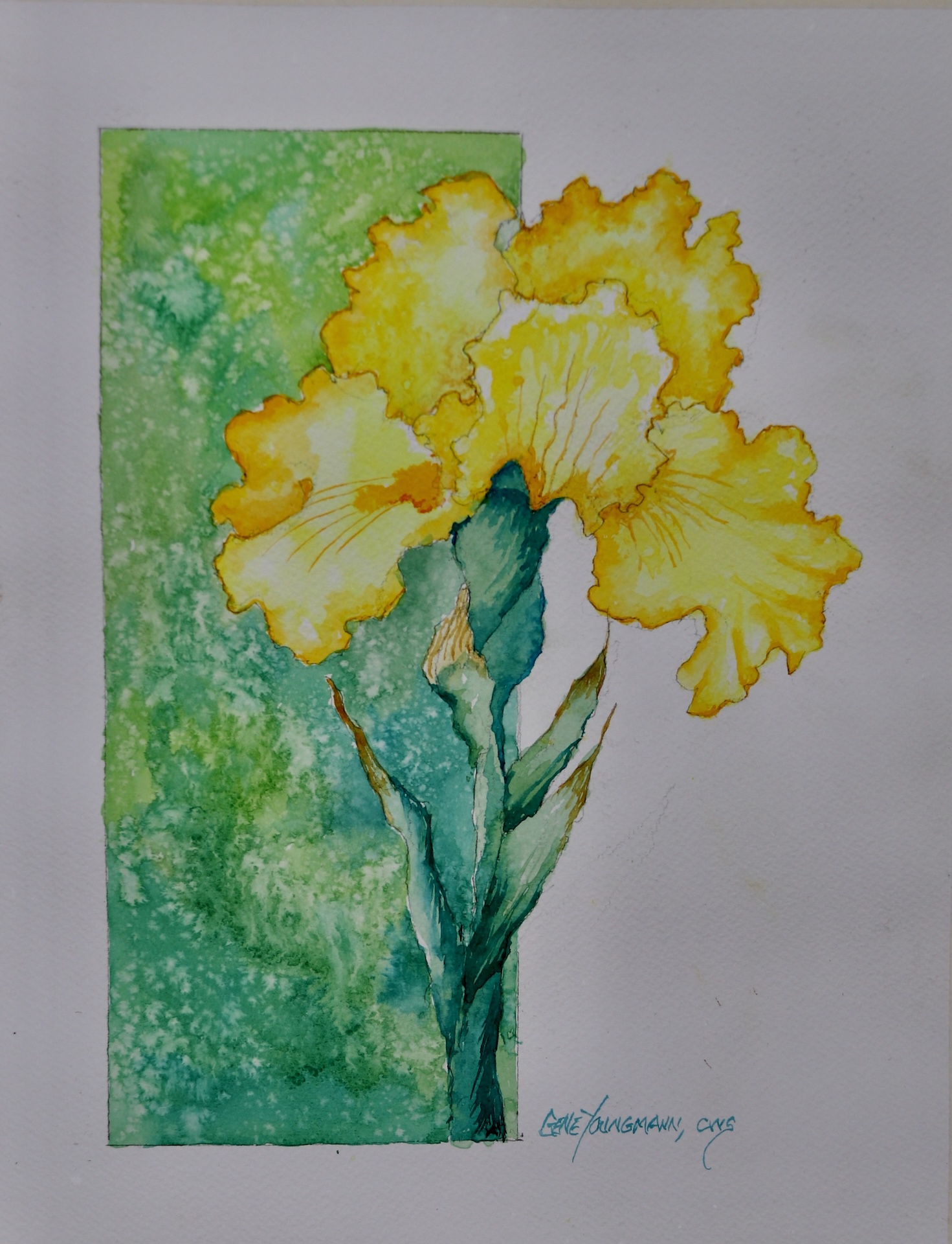 Wet Iris