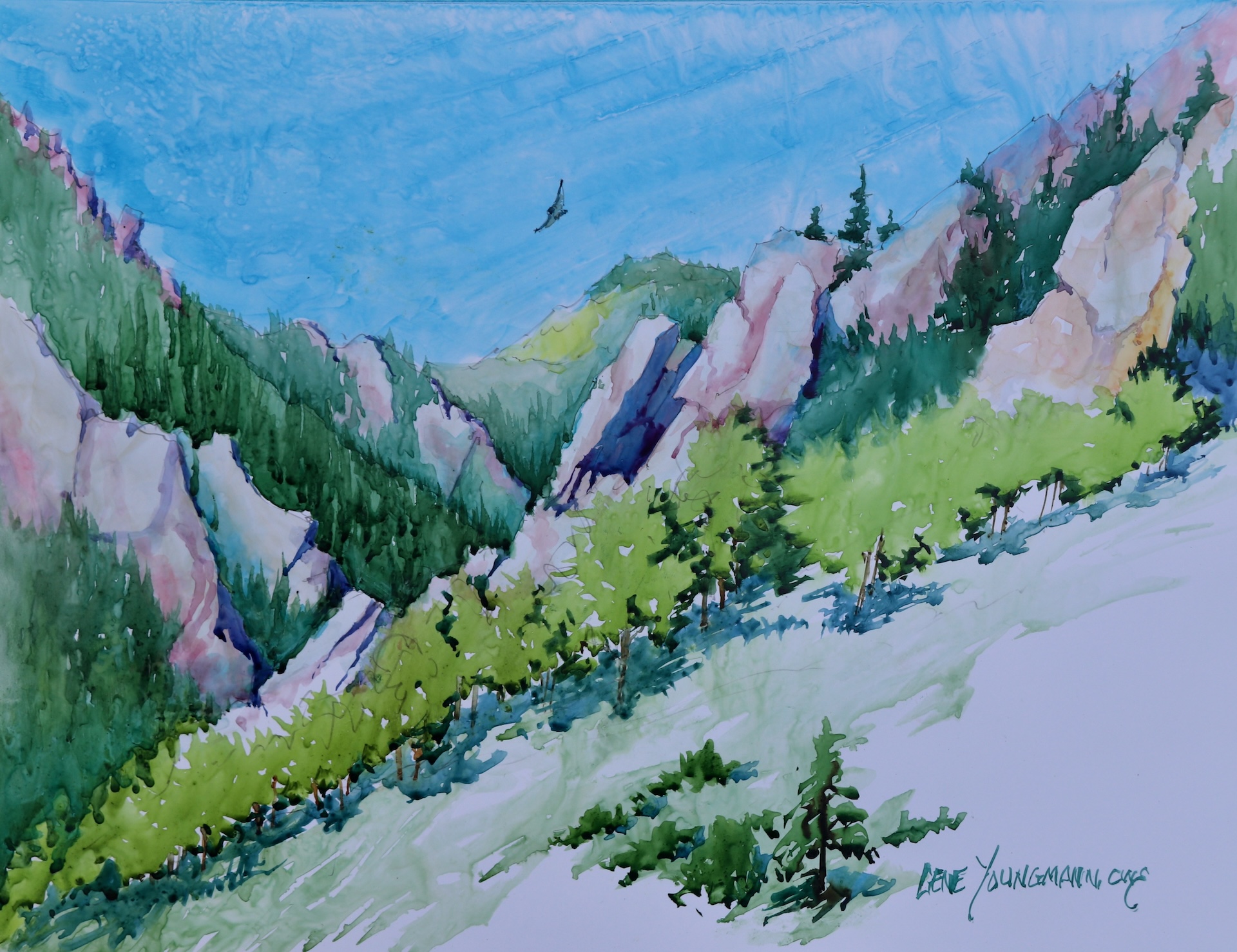 Canyon Light