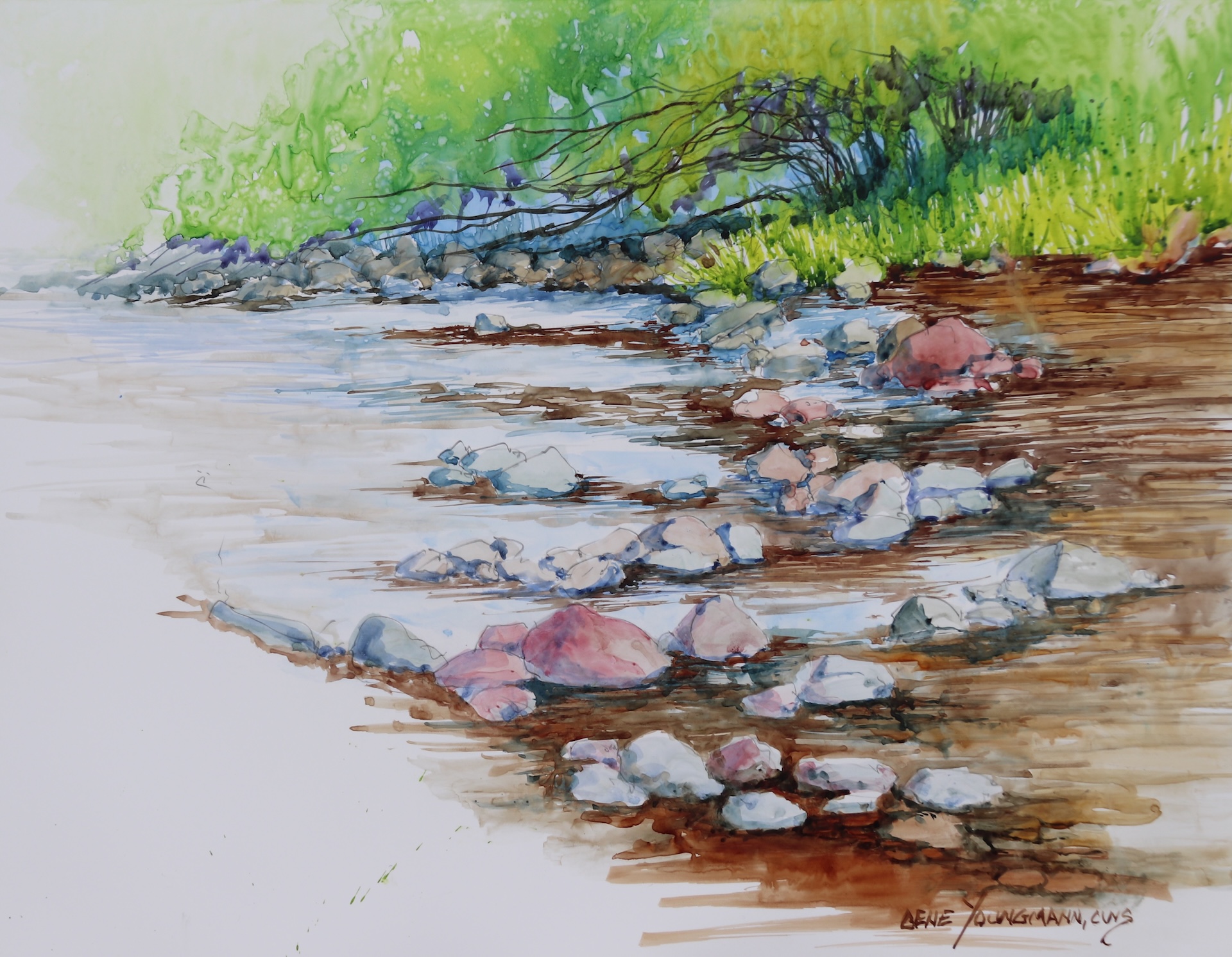View Down Creek