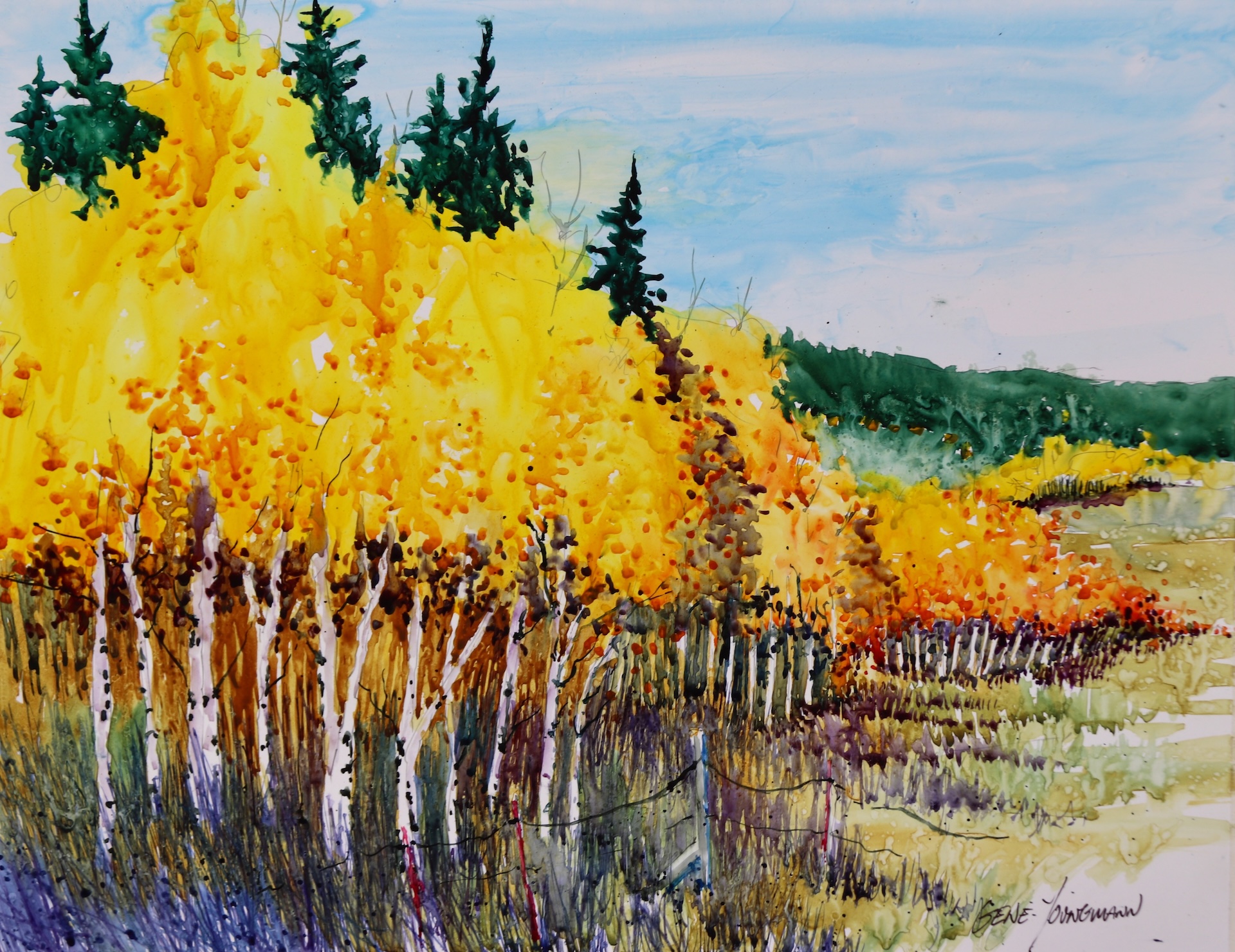 Aspen Shade