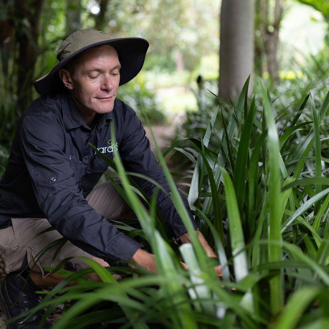 The team at Yards helping out our clients on site