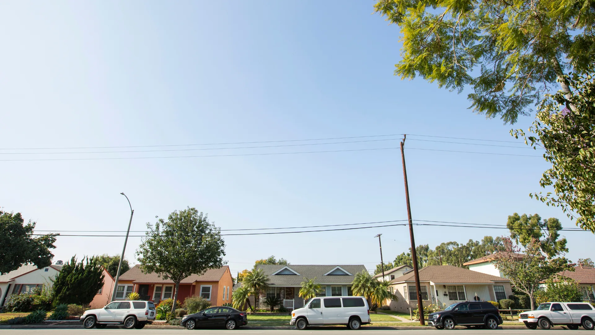 Quiet residential street in Lakewood California with single story homes green lawns and palm trees